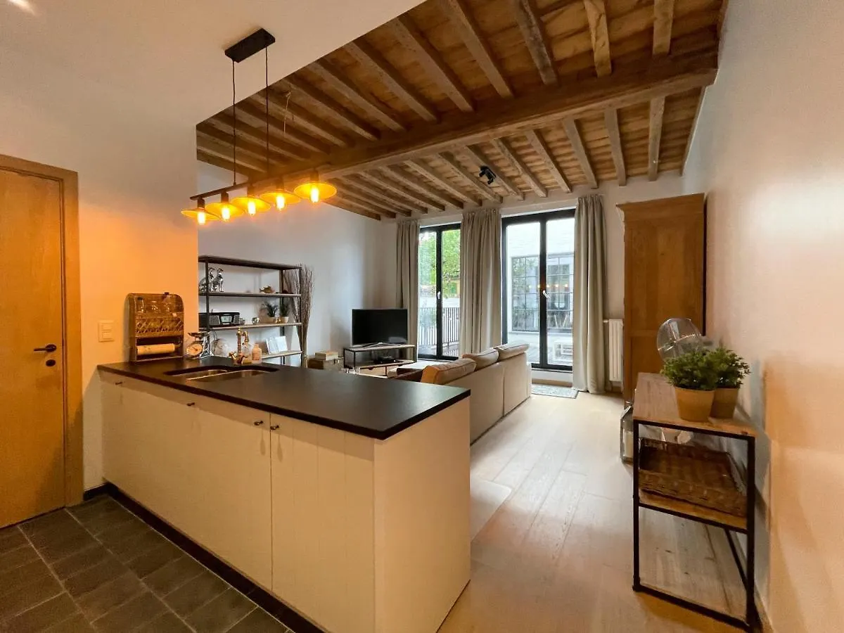 Apartamento Begijnhof 102 Gante Bélgica